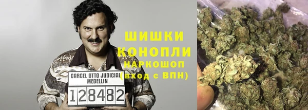 крисы Беломорск