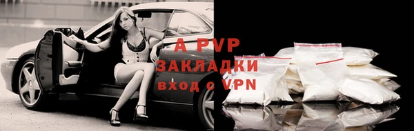 крисы Беломорск